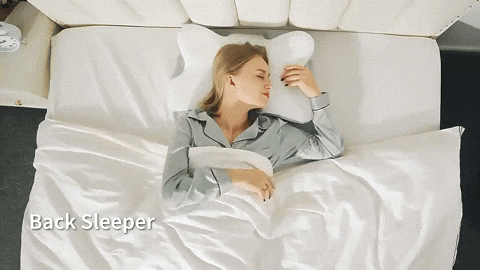 Butterfly Neck Support Pillow